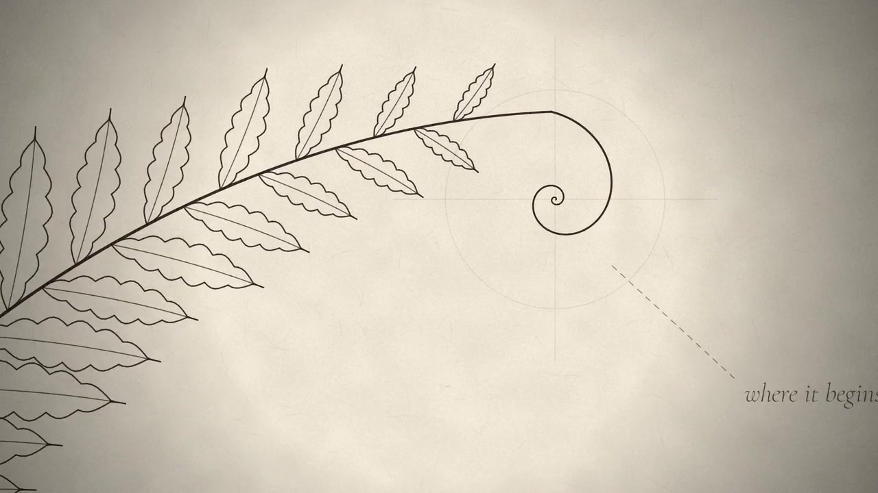 Verenne — One Line preview frame