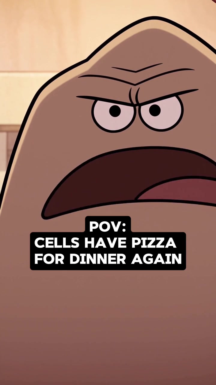 Preview of Pizza Again